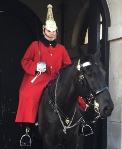 Horse Guard